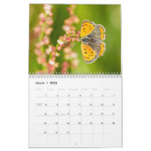 Calendrier des papillons 2018 (Mar 2026)