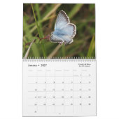 Calendrier des papillons 2018 (Jan 2027)