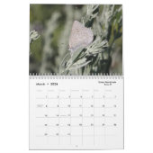 Calendrier des papillons 2018 (Mar 2026)