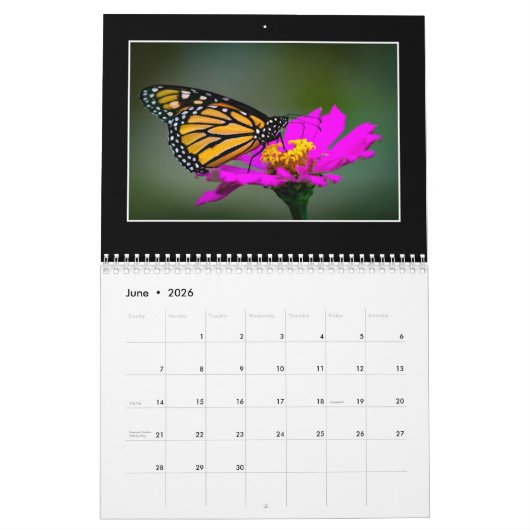 Calendrier Des Papillons 2020 Par Tom Minutolo (Jun 2026)