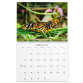 Calendrier des papillons 2025 (Mar 2027)