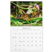 Calendrier des papillons 2025 (Mar 2026)