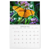 Calendrier des papillons 2025 (Feb 2026)