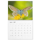 Calendrier des papillons enchantés (Mar 2027)