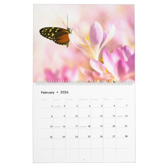 Calendrier des papillons enchantés (Feb 2026)