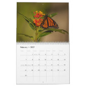 Calendrier des papillons monarques 2026 (Feb 2027)
