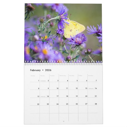 Calendrier des papillons par Jody Wiele Photograph (Feb 2026)