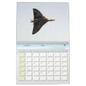 Calendrier des passionnés d'aéronefs (Jan 2026)