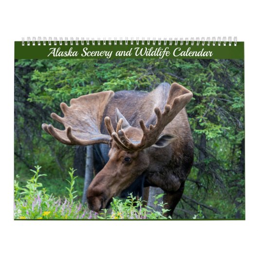 Calendrier des paysages et de la faune de l'Alaska (Protection)