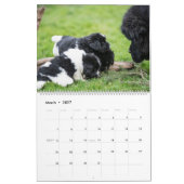 Calendrier des Peeklings pour l'ours de Notta (Mar 2027)