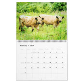 Calendrier des peintures à l'aquarelle de bovins d (Feb 2027)