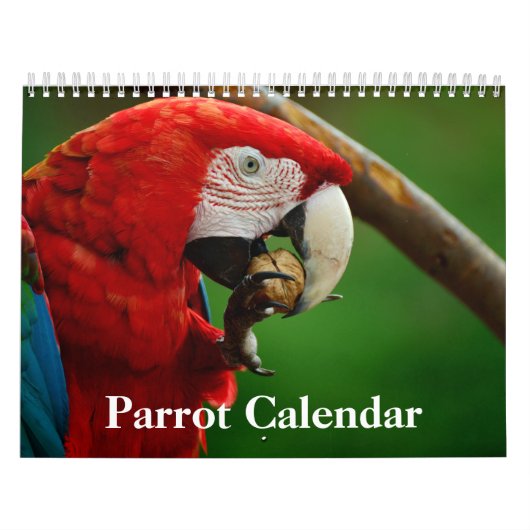Calendrier des perroquets 2020 (Protection)