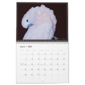 Calendrier des perroquets colorés (Mar 2027)