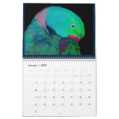 Calendrier des perroquets colorés (Jan 2027)