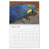 Calendrier des perroquets colorés (Feb 2027)