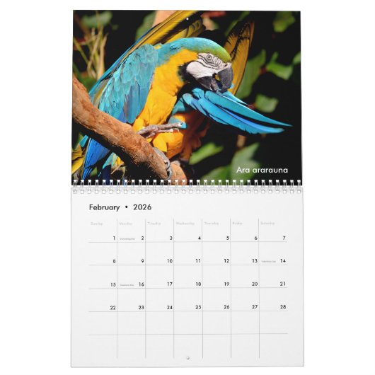 Calendrier des perroquets divers (Feb 2026)
