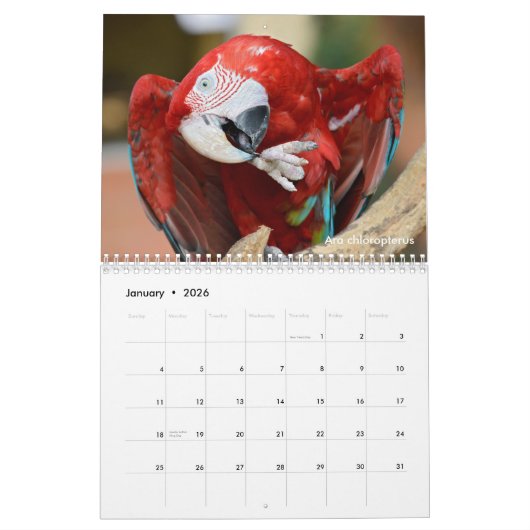 Calendrier des perroquets divers (Jan 2026)