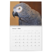 Calendrier des perroquets gris africains 2026 (Jan 2026)