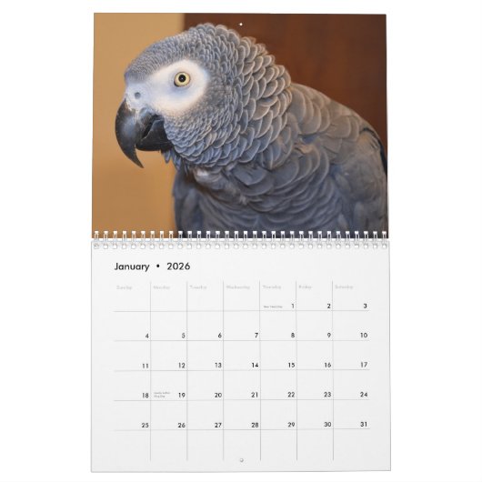 Calendrier des perroquets gris africains 2026 (Jan 2026)