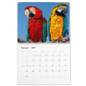 Calendrier des perroquets mixtes (Feb 2027)