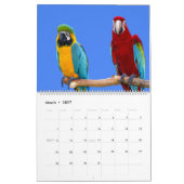 Calendrier des perroquets mixtes (Mar 2027)