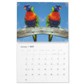 Calendrier des perroquets mixtes (Jan 2027)