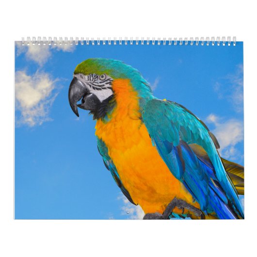 Calendrier des perroquets mixtes (Protection)