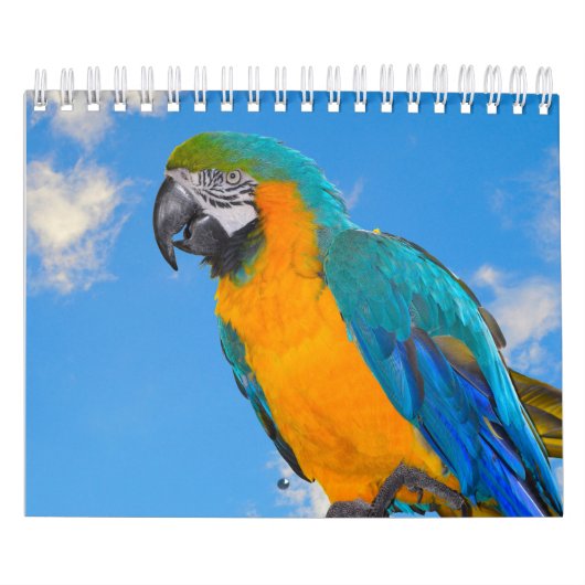 Calendrier des perroquets mixtes (Protection)