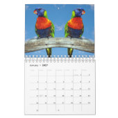 Calendrier des perroquets mixtes (Jan 2027)
