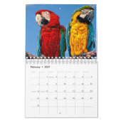 Calendrier des perroquets mixtes (Feb 2027)