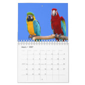 Calendrier des perroquets mixtes (Mar 2027)