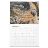 Calendrier des pétales et amis 2021 (Jan 2027)