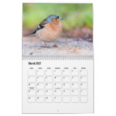 Calendrier des petits oiseaux (Mar 2027)