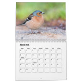Calendrier des petits oiseaux (Mar 2026)