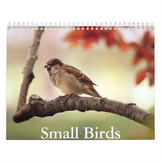 Calendrier des petits oiseaux (Protection)