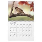 Calendrier des petits oiseaux (Jan 2026)