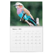 Calendrier des petits oiseaux 2025 (Feb 2026)