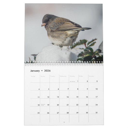 Calendrier des petits oiseaux 2025 (Jan 2026)