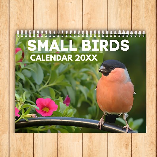 Calendrier des petits oiseaux 2025