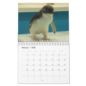 Calendrier des petits pingouins 2020 (Feb 2026)