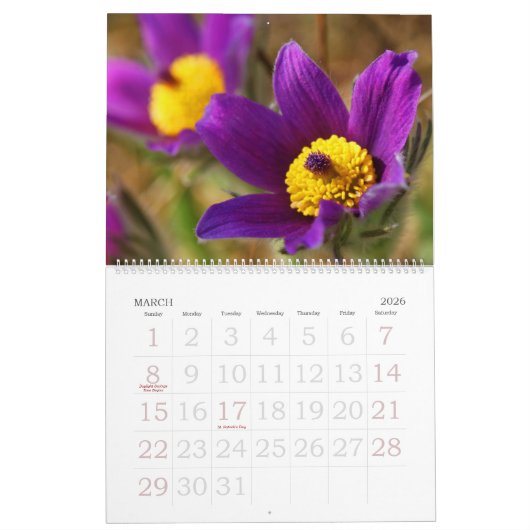 Calendrier des photos (Mar 2026)
