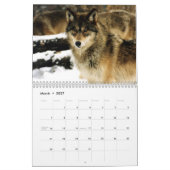 Calendrier des photos de la faune des parcs nation (Mar 2027)