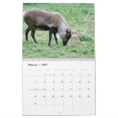 Calendrier des photos de la faune des parcs nation (Feb 2027)
