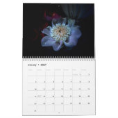 Calendrier des photos de la lumière UV (Jan 2027)