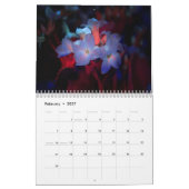 Calendrier des photos de la lumière UV (Feb 2027)