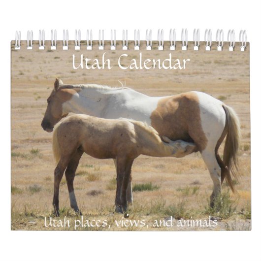 Calendrier des photos de l'Utah (Protection)