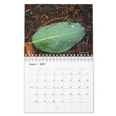 Calendrier des photos nature (Mar 2027)