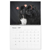 Calendrier des photos préférées de Notta Bear (Feb 2027)