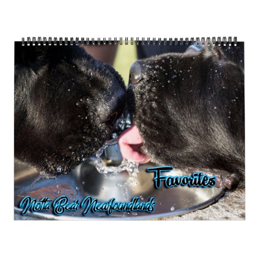 Calendrier des photos préférées de Notta Bear (Protection)