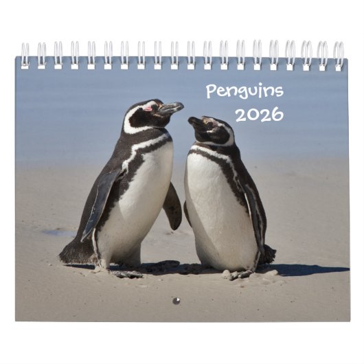 Calendrier des pingouins (Protection)
